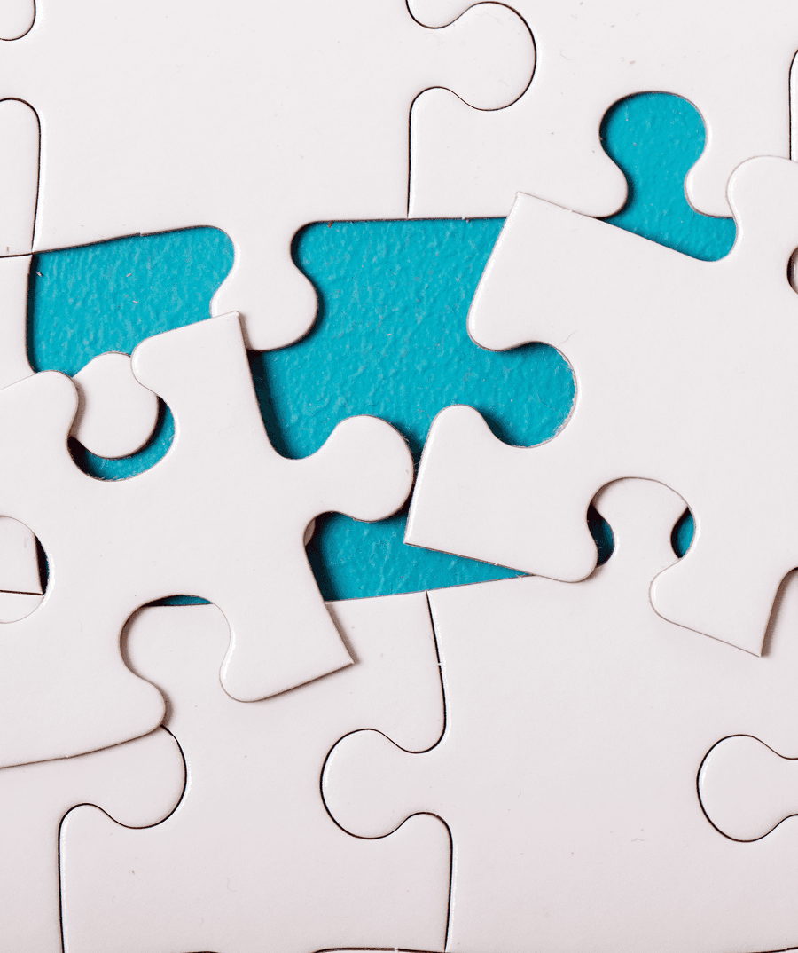 INTEGRATION SERVICES